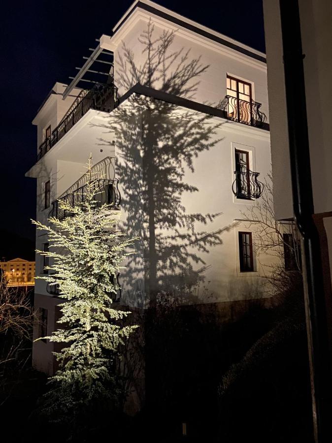 Vila Maister Celje Exterior photo